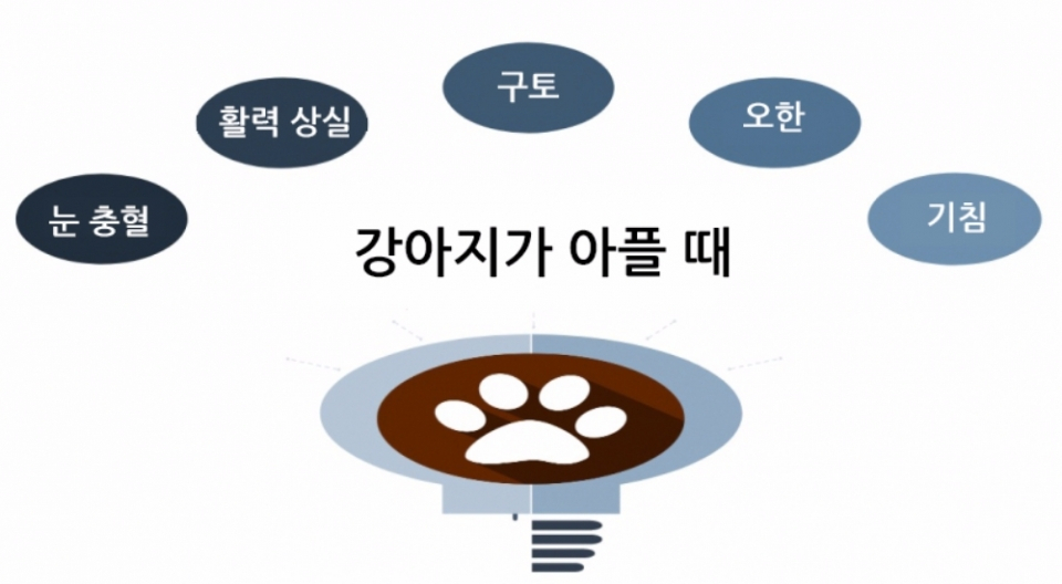 반려견에게 열이 날 때