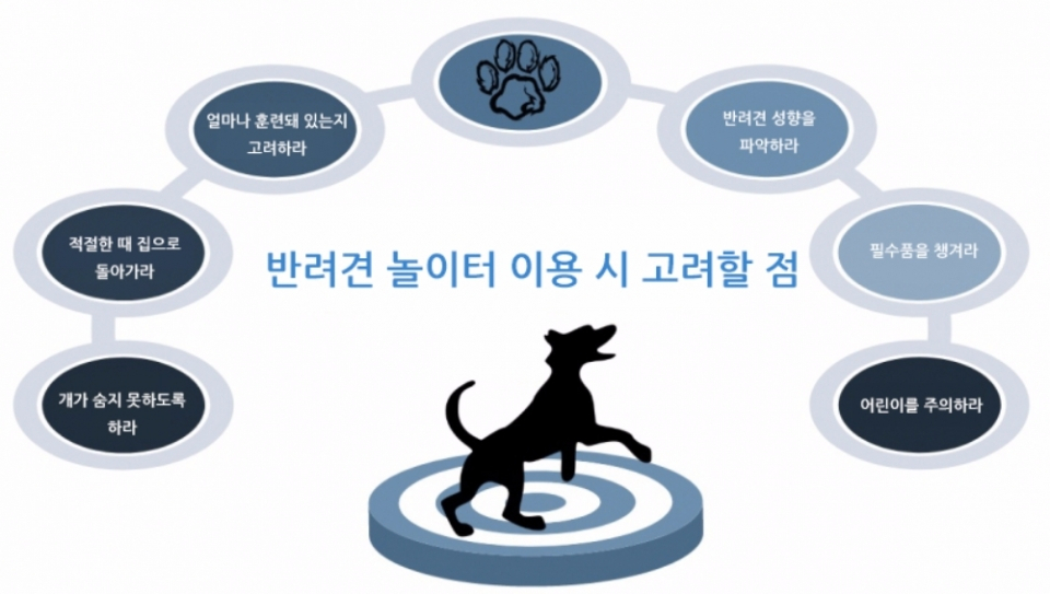반려견 놀이터에서 신나게 놀 꿀팁