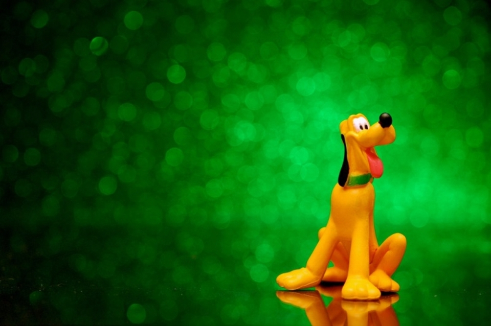 인기 애니메이션에 등장한 견공 캐릭터