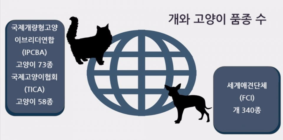 왜 개는 고양이보다 품종이 다양할까?