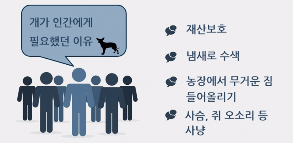 왜 개는 고양이보다 품종이 다양할까?