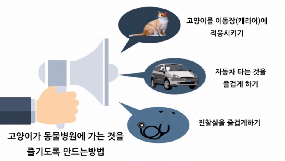 고양이를 동물병원에 데려갈 때