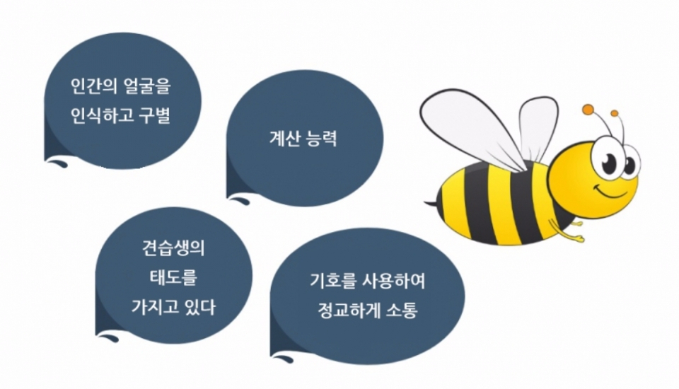 곤충은 얼마나 똑똑할까