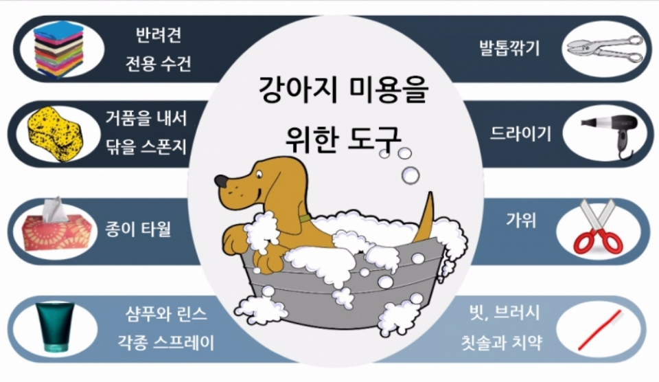 반려견 미용관리, 이제 집에서 하자