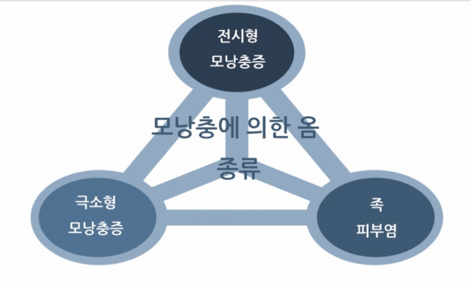 반려견이 옴에 걸렸을 때 해야 할 일