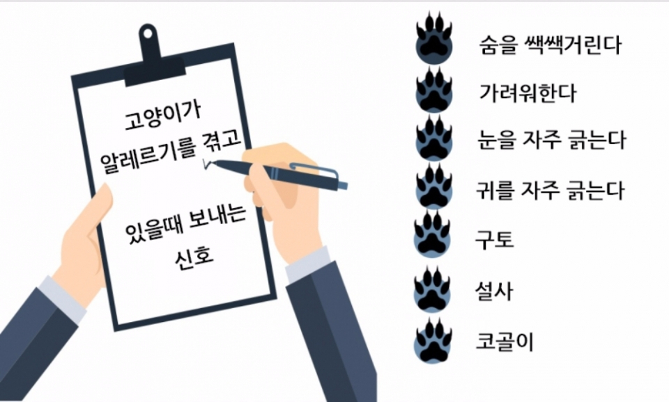 고양이가 자꾸 긁거나 짜증내면 알레르기일 가능성 높다