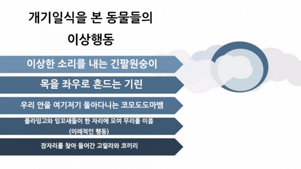 개기일식 진행된 동물원 동물들 이상행동 보여