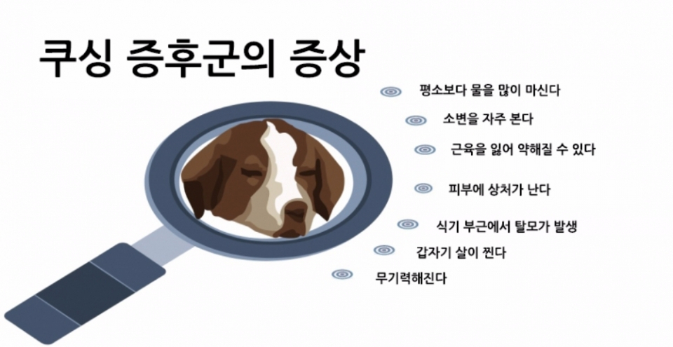 강아지 쿠싱 증후군이란 무엇인가?