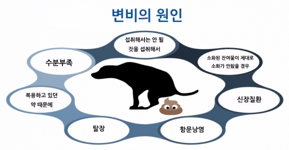 반려견이 변비에 걸렸을 때