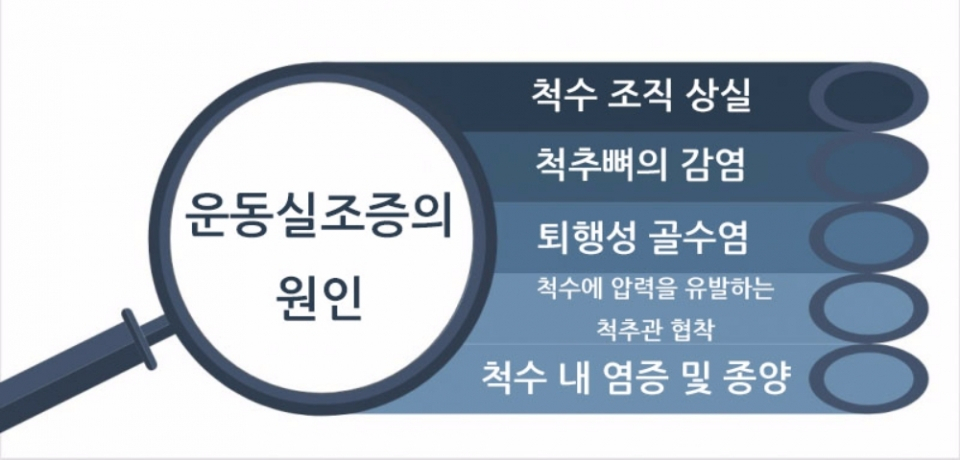 반려견 움직임이 부자연스러우면 운동실조증 의심해봐야