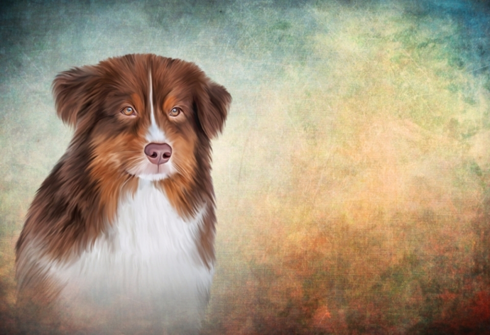 반려동물의 죽음에 대처하는 방법