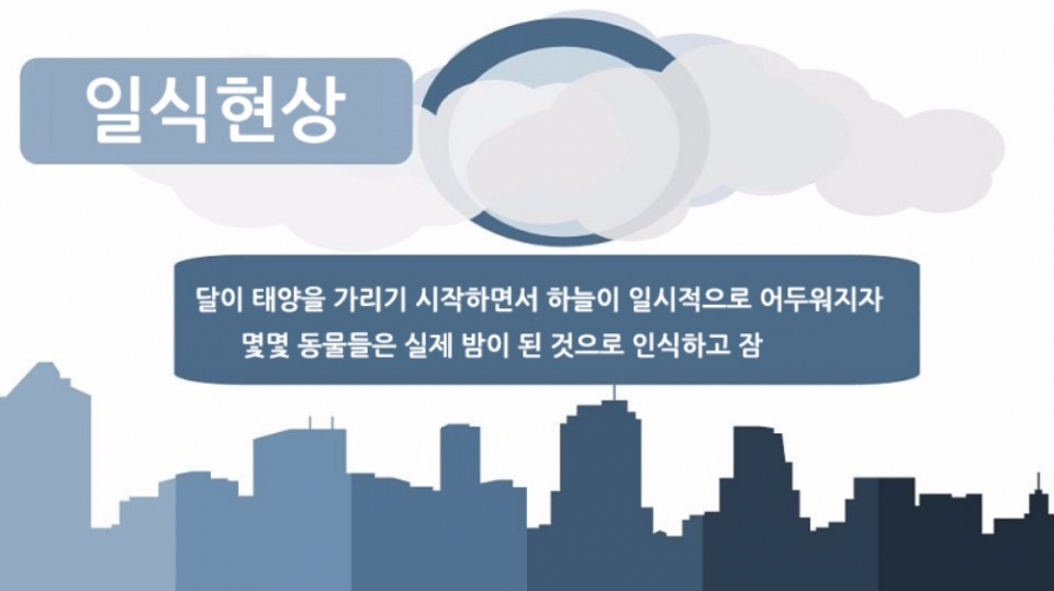 개기일식 진행된 동물원 동물들 이상행동 보여