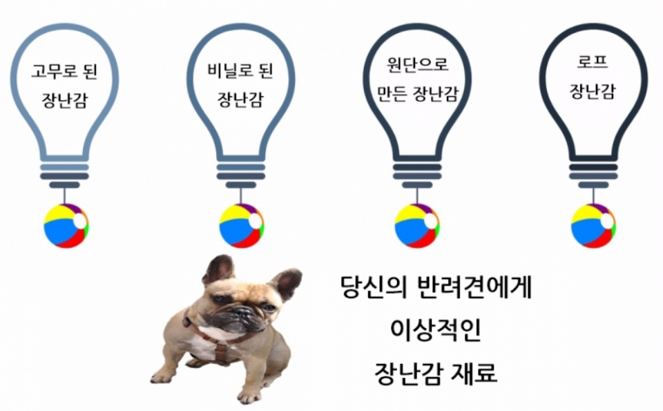 반려견에게 씹는 장난감 준비해주기