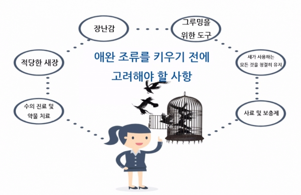 애완 조류를 키우기 전에 고려해야 할 사항