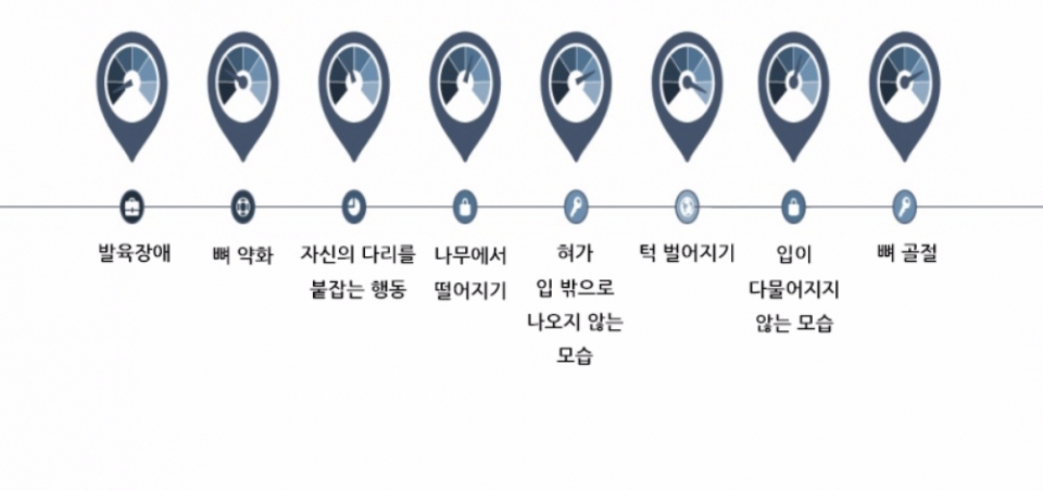 애완 카멜레온, 대사성 골질환에 주의해야