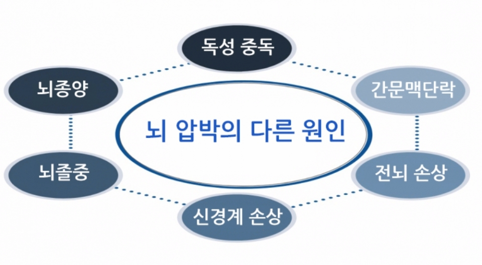 벽에 머리를 갖다 대는 반려견, 웃을 일이 아니다