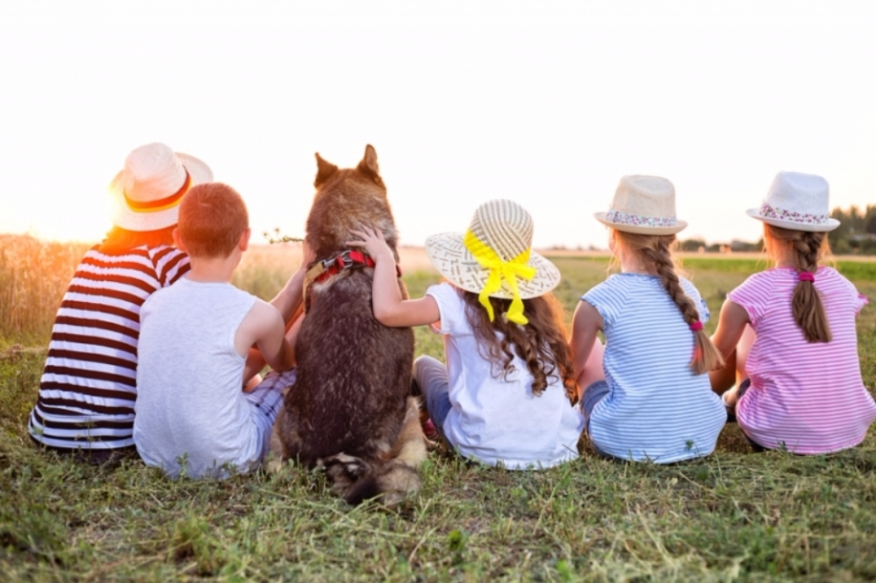 가정에 반려동물을 들일 때 주의할 점