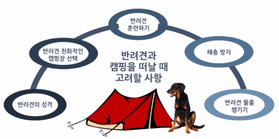반려견과 캠핑 떠나기 전 확인해야 될 사항