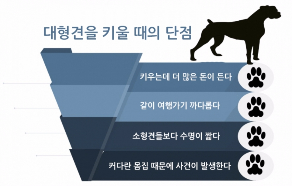 대형견과 생활하기