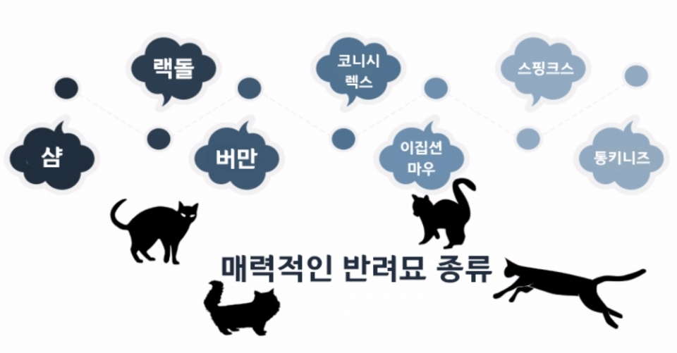 키우고 싶은 매력적인 고양이 품종