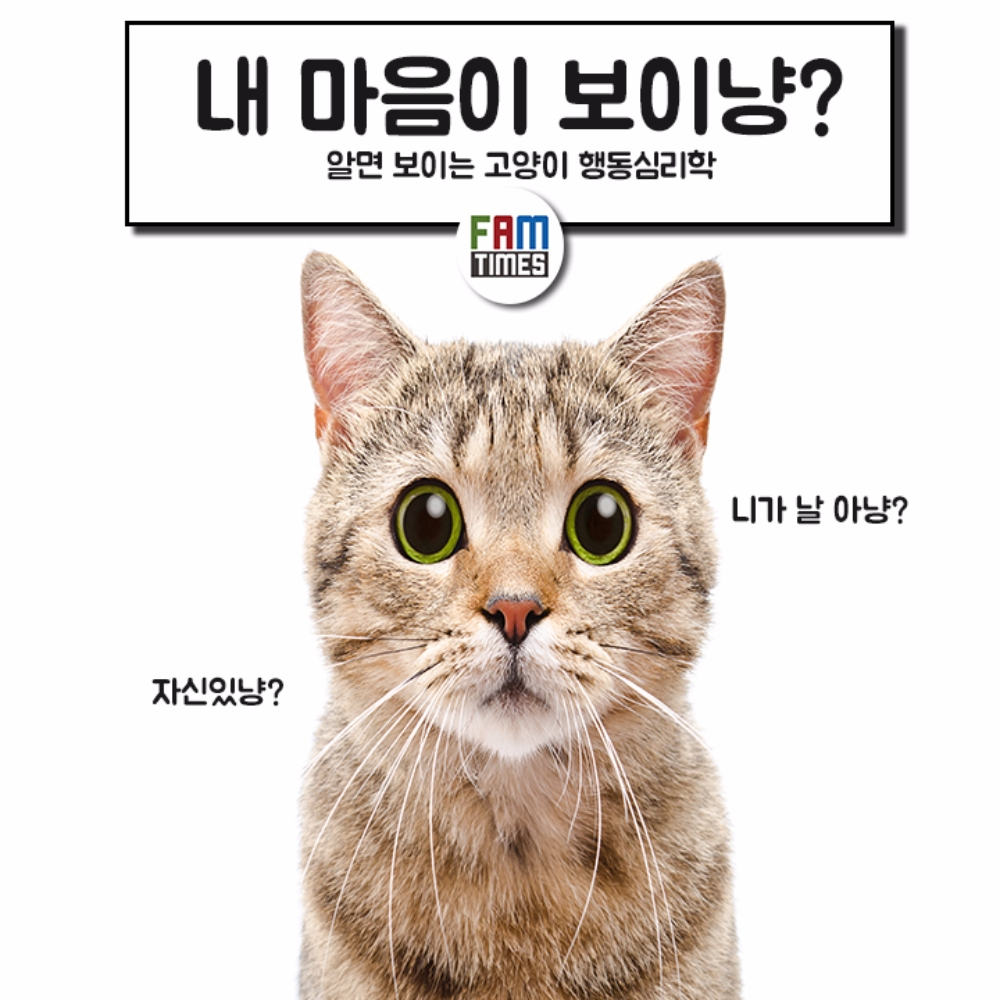 [카드뉴스] 고양이 행동심리학