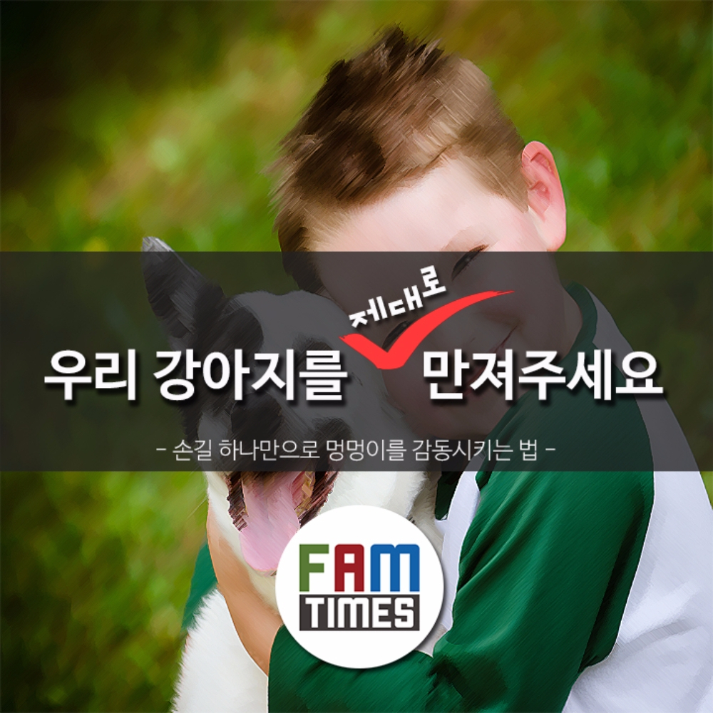 [카드뉴스] 당신의 강아지, 제대로 만지는 법