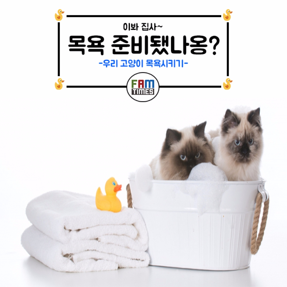 [카드뉴스] 고양이 목욕, 어떻게 해야할까요?