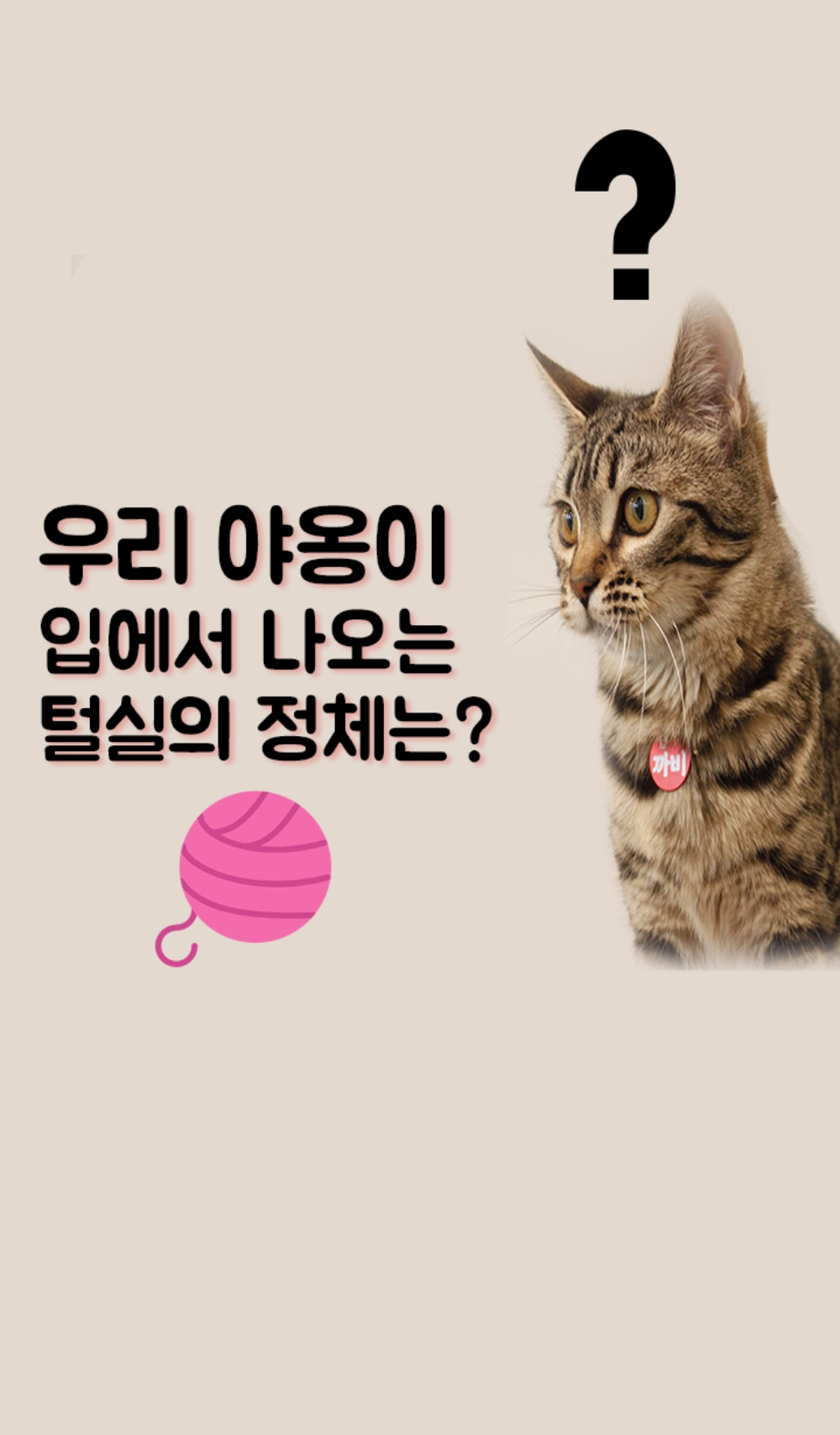 [카드뉴스] 고양이 입에서 나오는 털실의 정체