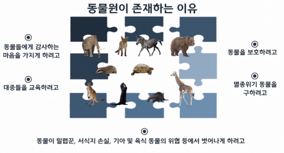 동물원의 긍정적인 효과와 어두운 이면