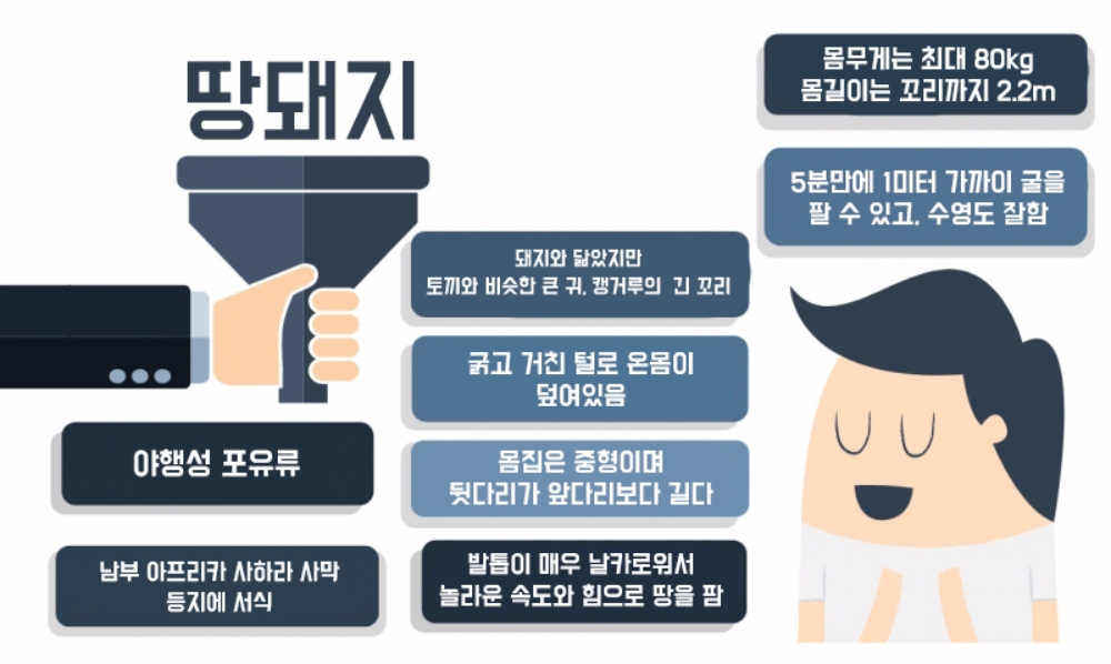 돼지인 듯 돼지 아닌 유일한 관치목 동물, 땅돼지