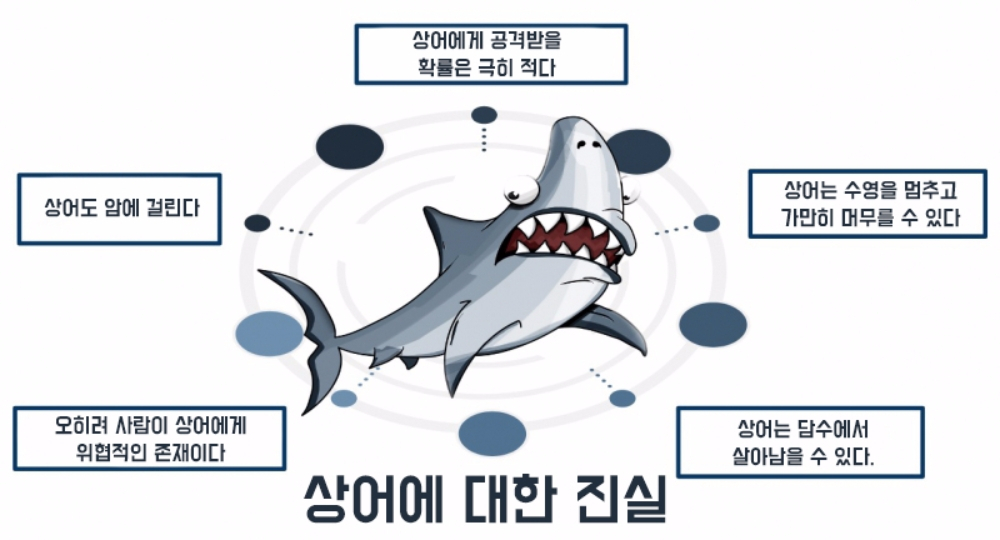 상어와 관련된 소문, 그 진실과 거짓