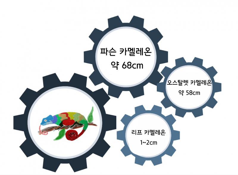 댜채로운 피부색의 향연, 능력자 '카멜레온'