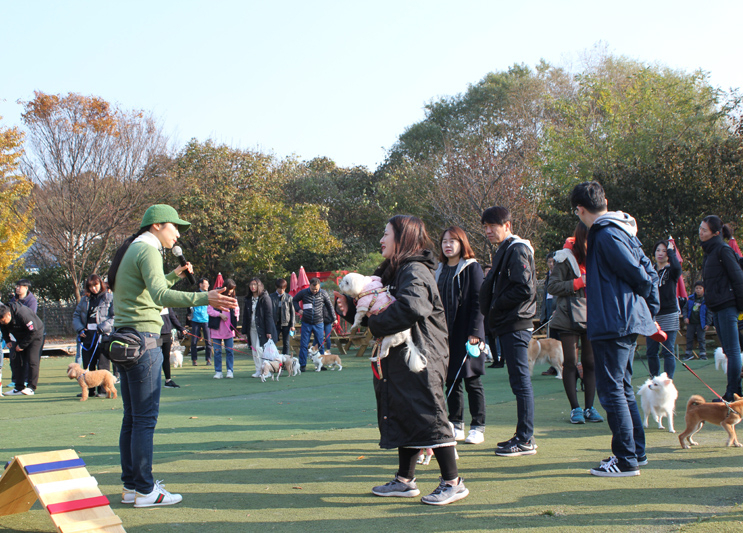 한국반려동물아카데미, 반려동물관리사 자격증 효율성 높이는 직업·창업 매칭서비스 도입