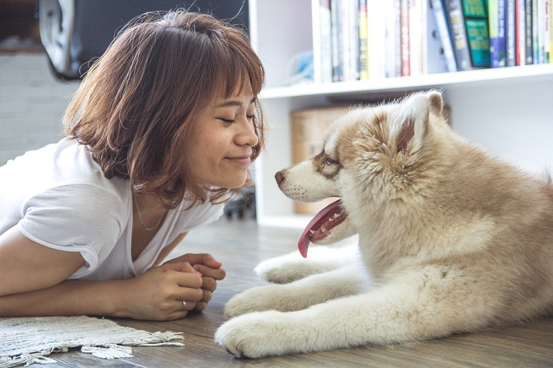 반려견을 키우면 심장 건강에 좋아