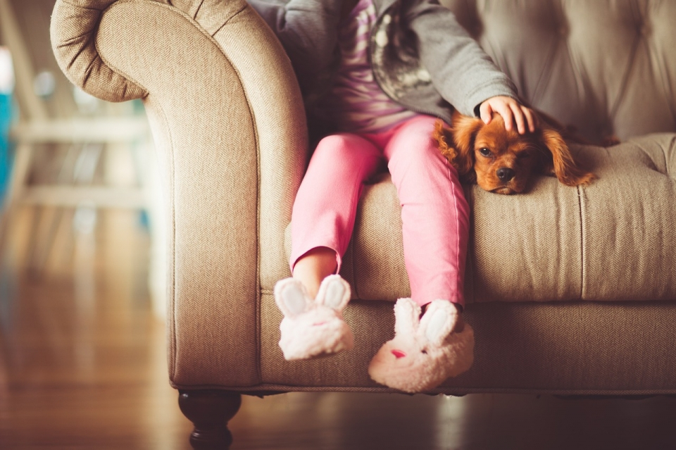 강아지 입양이 가져온 긍정적인 변화