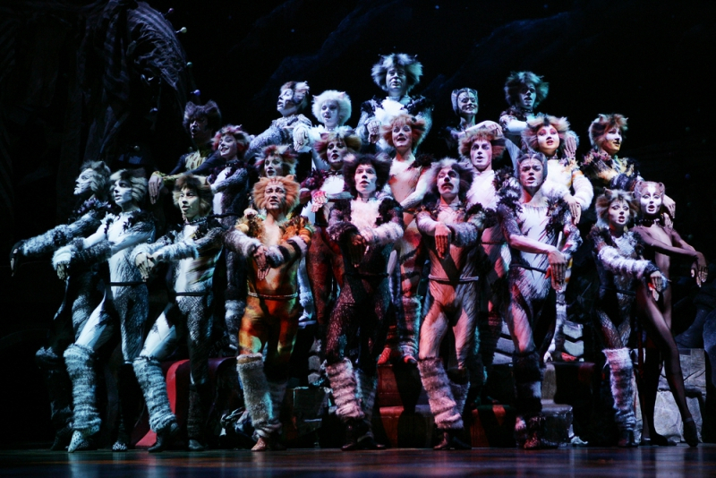 뮤지컬 캣츠 공연에서 배우 따라 달려나간 안내견