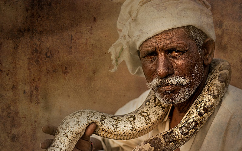 뱀, 주인이 부르는 본인 이름 알아 듣는다