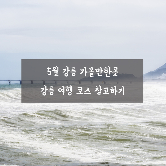 [포토] 5월 강릉 가볼만한곳, 여행 시 참고할 수 있어