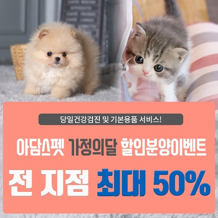 전국 9개지점 프렌차이즈 아담스펫, 인천•구리 강아지 고양이분양 최대 70% 할인분양 이벤트