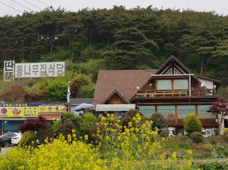 서해 안면도 가족여행과 안면도맛집 '딴뚝통나무집식당' 탐방