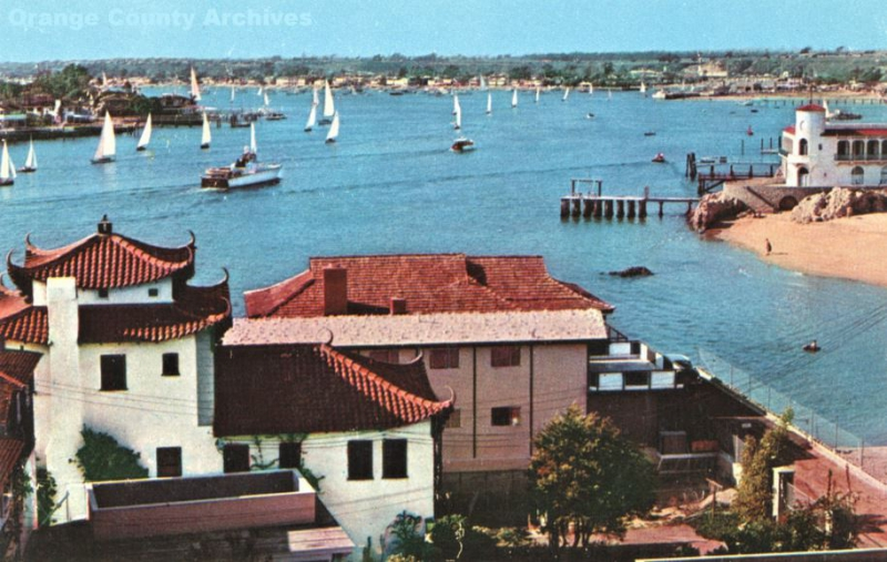 반려견에 친화적이지 않는 도시와 나라는?