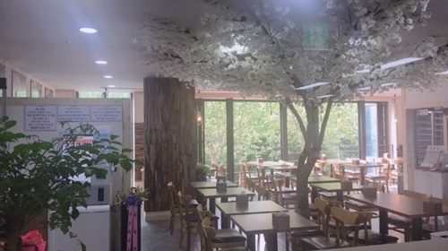 직접 만든 육수로 퀄리티 높인 쌀국수 '미스포', 반값 전략 나서