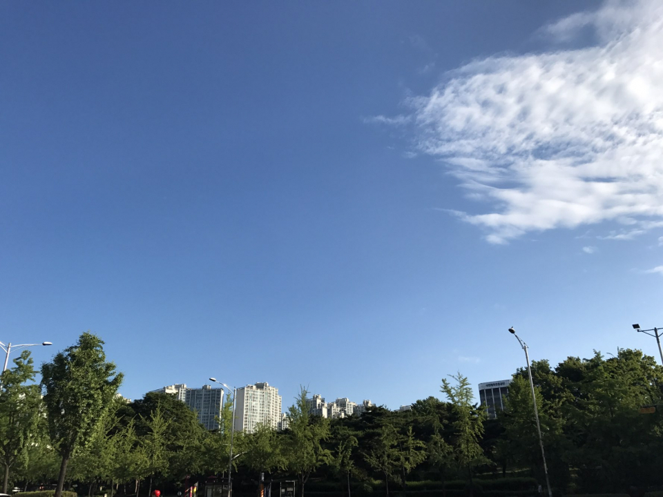 [기상특보] 오늘 서울 인천 수원 대전 세종 천안 제주도날씨, "하지 맞아 뜨거운 날씨 이어져"…