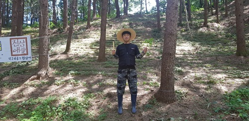 강원도 산양삼의 우수성을 직접 체험하는 횡성 산양삼 체험농장