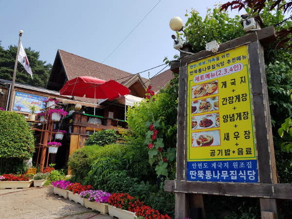 안면도 여행과 게국지 특허받은 안면도맛집, '딴뚝통나무집식당'