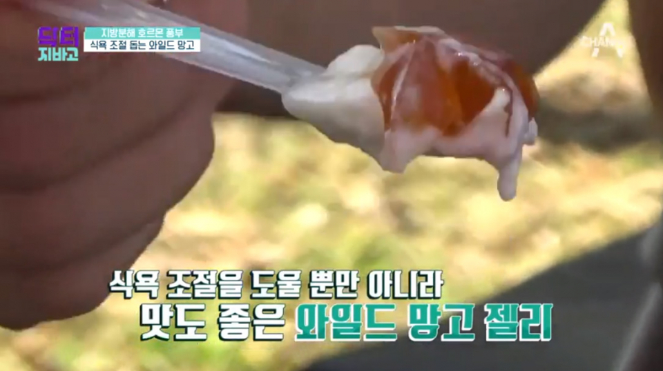 [다이어트tip] 닥터지바고에서 소개하는 와일드망고 다이어트 방법과 효능 확인하려면…