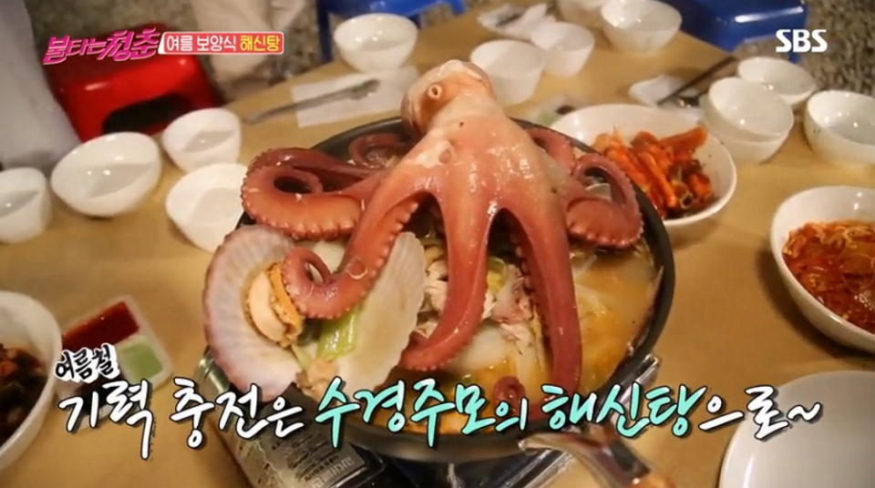[저녁메뉴추천] 탱탱한 문어 그대로 올라간 양수경표 '해신탕' 만들어볼까?