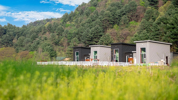 넓은 운동장과 프라이빗한 수영장이 있는 서울근교애견펜션, '화이트몽'