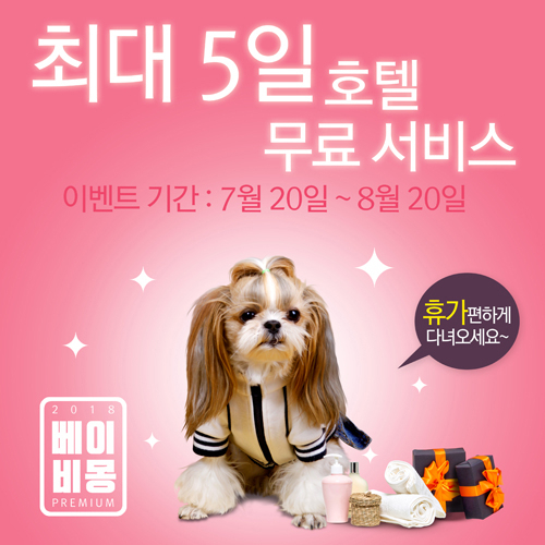 강아지분양 전문 베이비몽, 여름휴가철 애견분양 시 호텔무료서비스 진행
