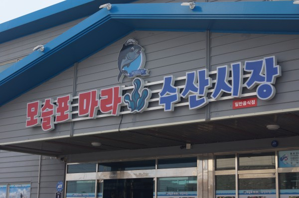 싱싱함 그대로 집에서 즐기는 제주 모슬포 회포장 맛집 '모슬포마라수산시장'